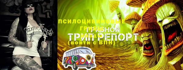 ПСИЛОЦИБИНОВЫЕ ГРИБЫ Володарск