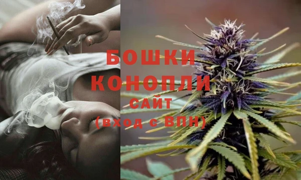 ГАЛЛЮЦИНОГЕННЫЕ ГРИБЫ Волоколамск