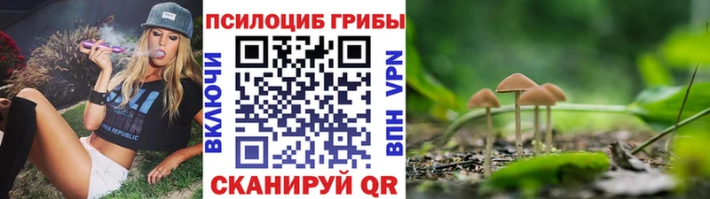 Псилоцибиновые грибы Psilocybe  Ишим 